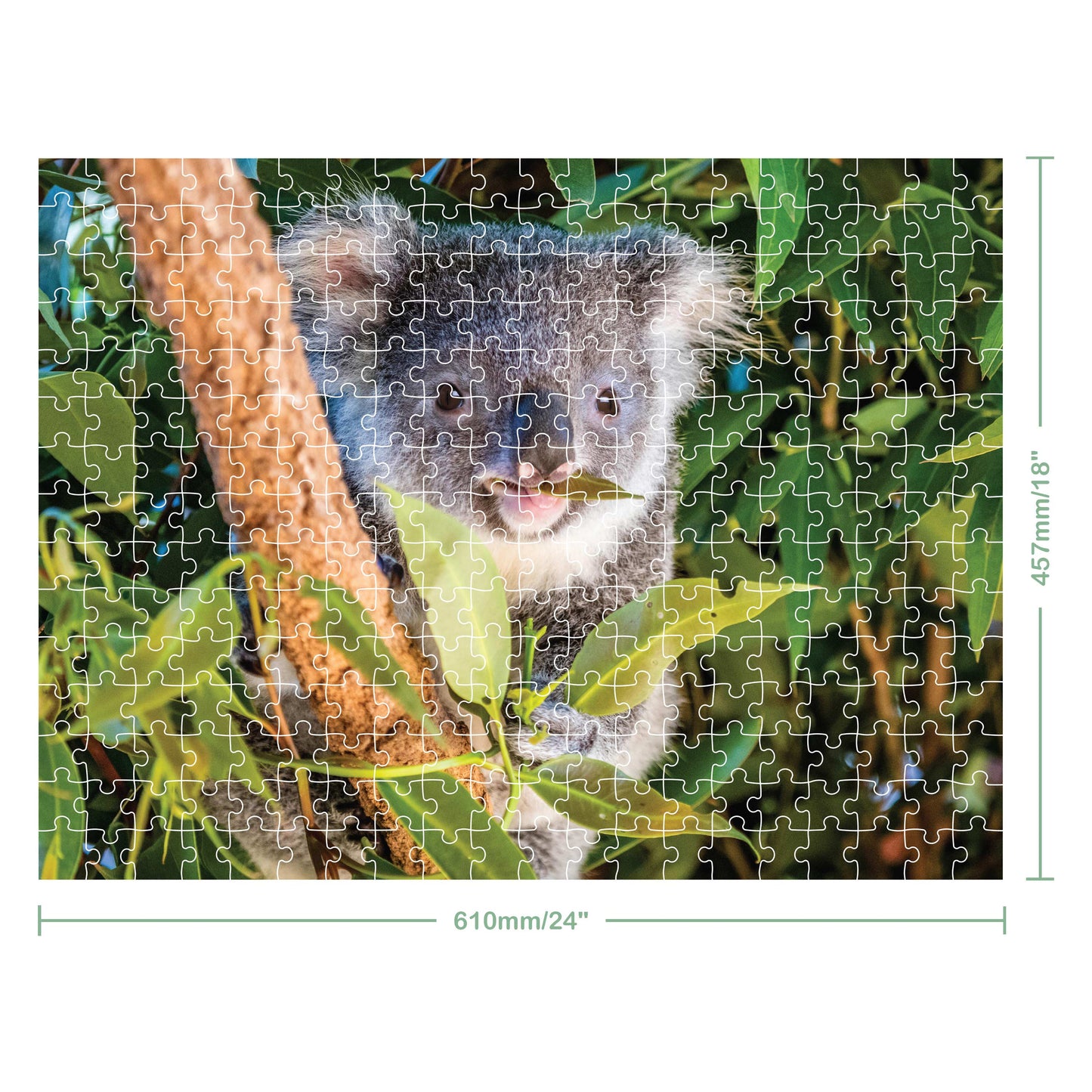 300pc Koala