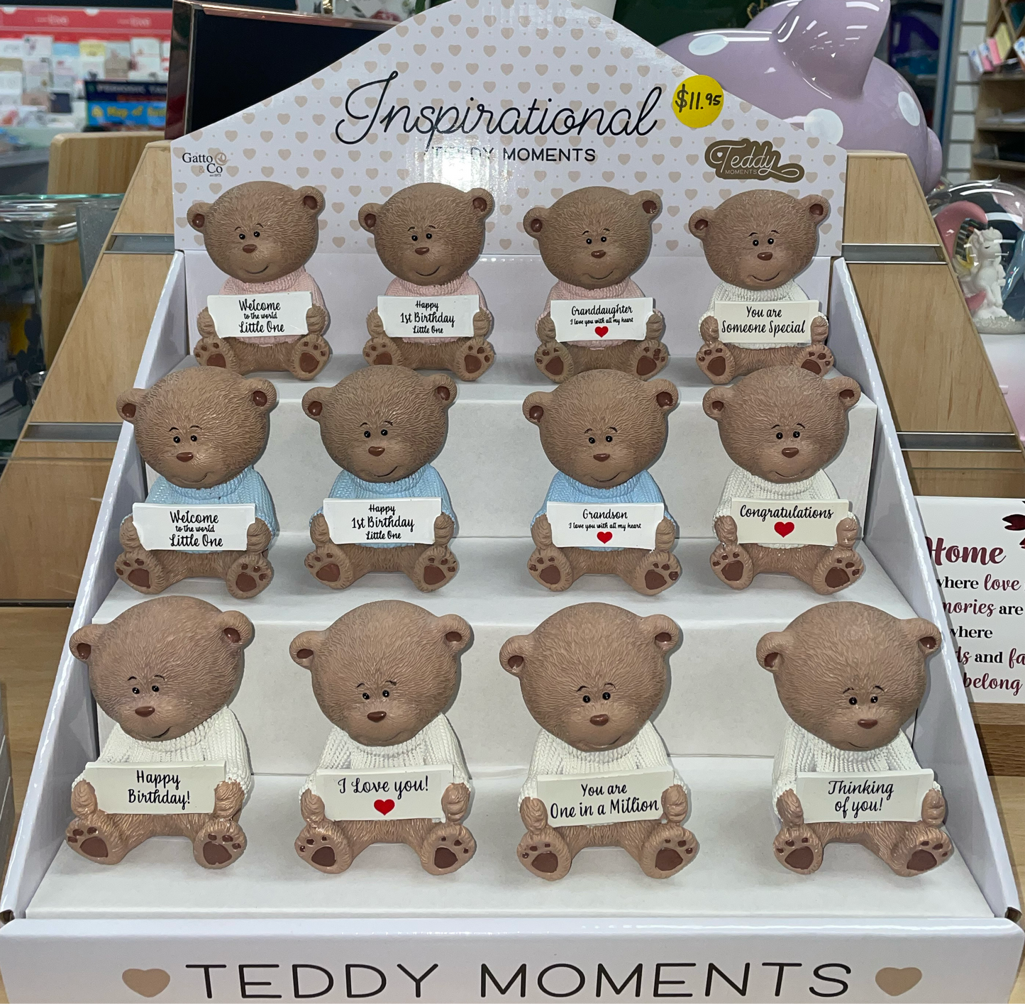 Inspirational Teddy Moments