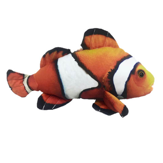 Bubbles Clownfish