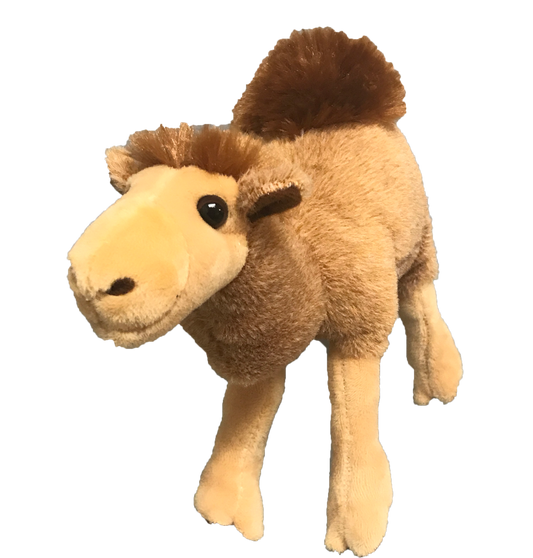 Cameron Camel