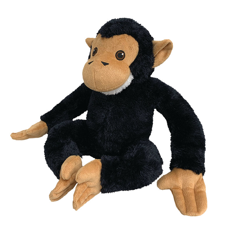 Charlie Chimp