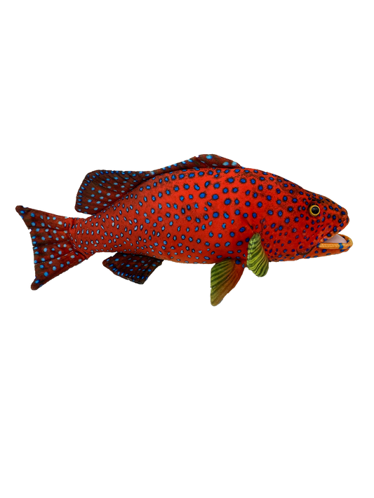 Corine Coral Trout