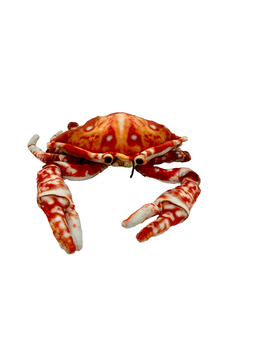 Crabby Crab