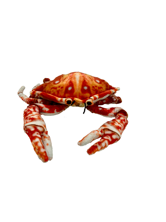 Crabby Crab