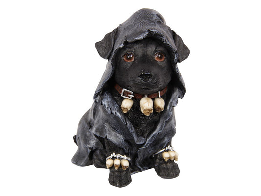 Witch's Dog in Robe