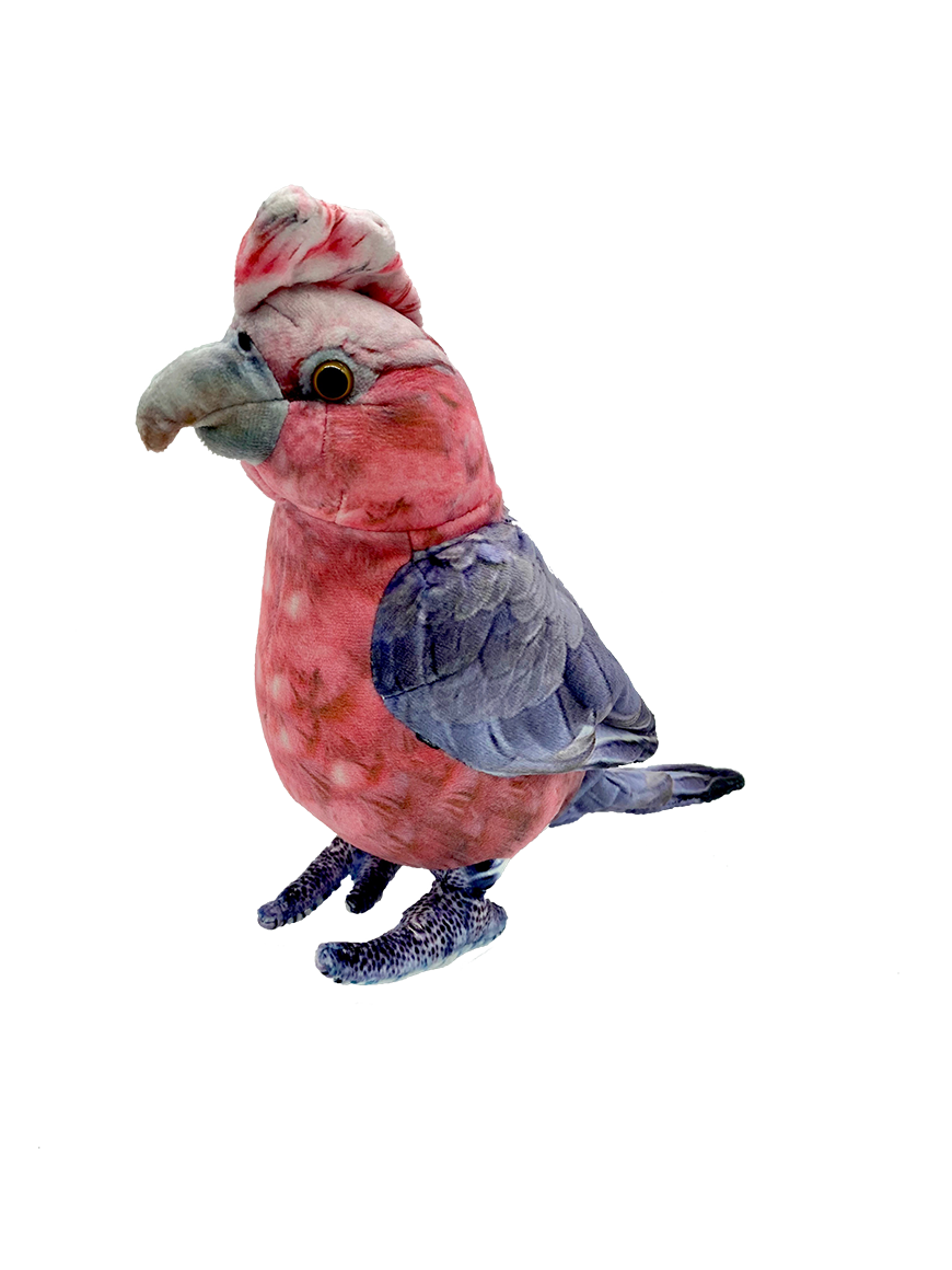 Gabrielle Galah