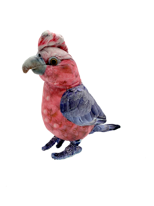 Gabrielle Galah