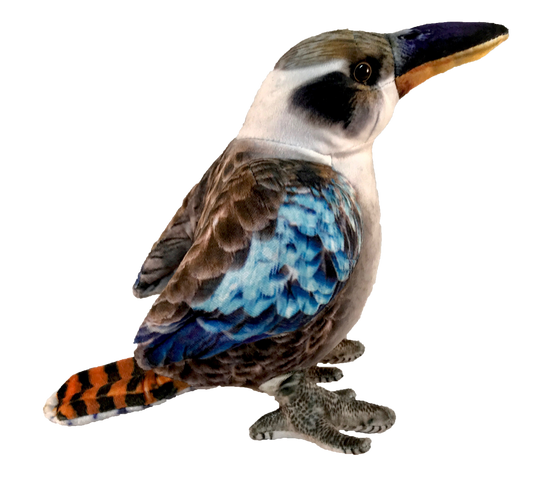 Kingsley Kookaburra